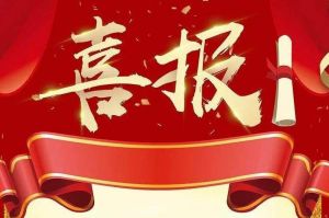 关于2022年度人力资源服务评选结果的通报，祝贺德信体育app_德信·体育（DexinSports）官方网站
集团