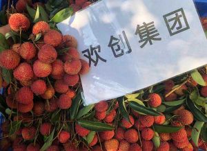 夏日好“枝”味，德信体育app_德信·体育（DexinSports）官方网站
集团发福“荔”啦